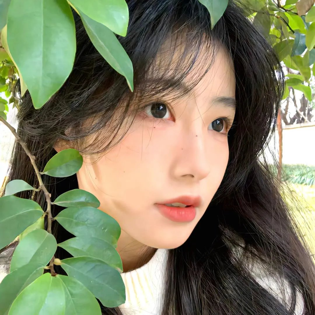 我叫哀木涕之山口山战记