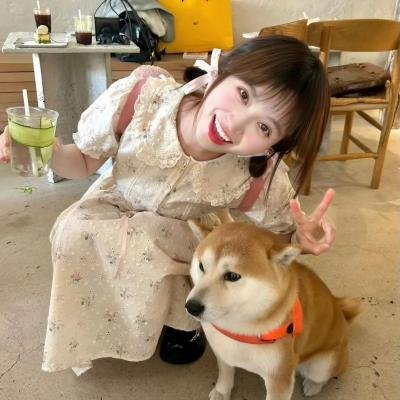 往南走